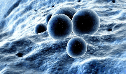 Image: A conceptual visualization of the methicillin-resistant staphylococcus aureus (MRSA) bacteria (photo courtesy Medical RF.com).